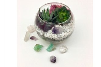 Plant Nite: Rose Bowl with Choice of Crystal II